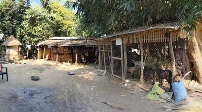 Predator-proof pens reduce livestock losses near VTR