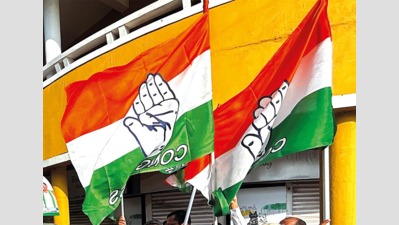 Cong bets on org overhaul, but observers urge it to hit roads