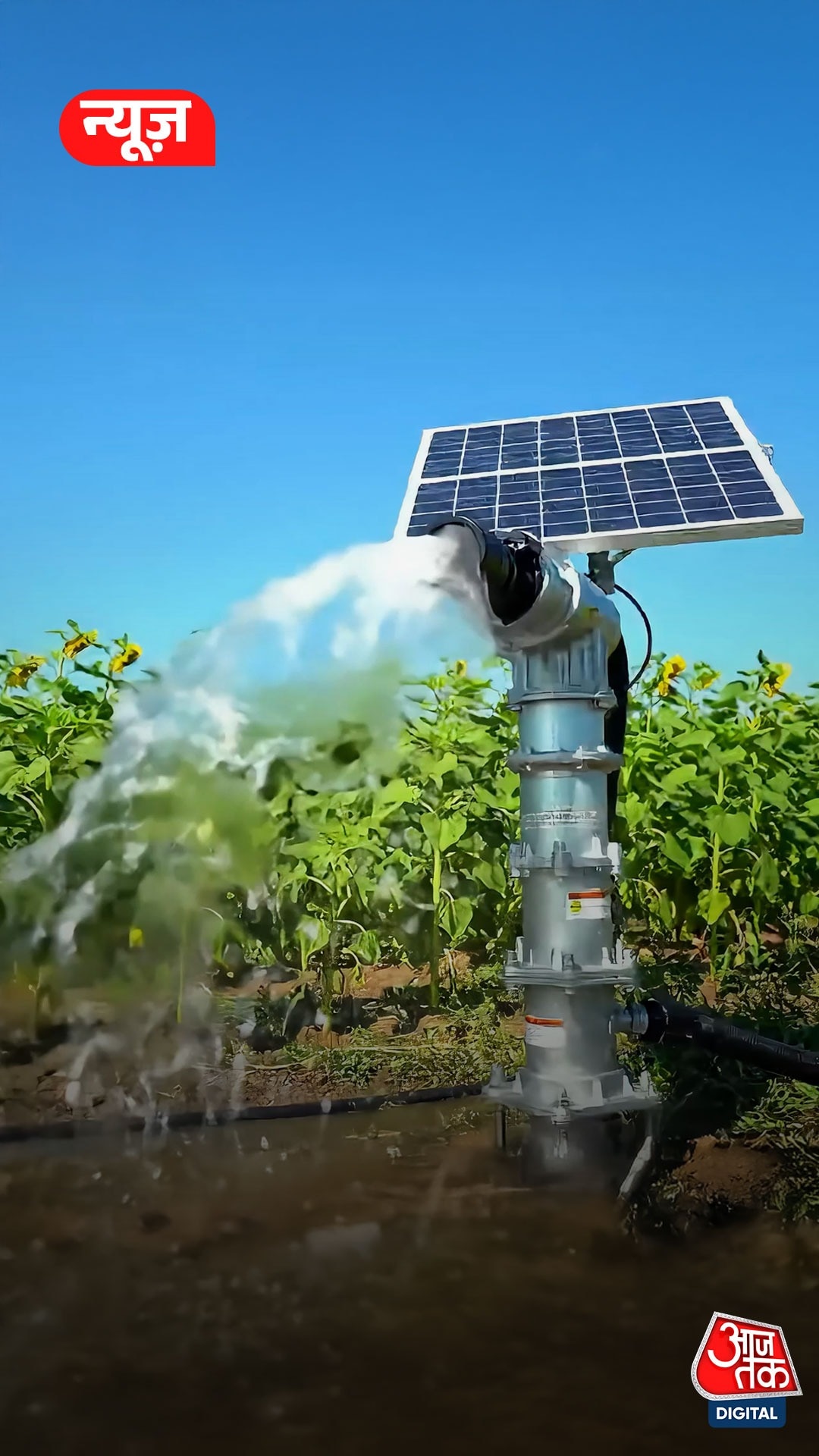 Solar Pump Subsidy: MP के किसानों को 90% सब्सिडी