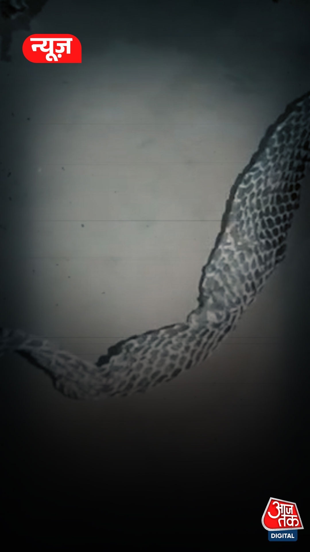 'नागिन बनकर' गायब हुई लड़की का अब वीड‍ियो आया सामने