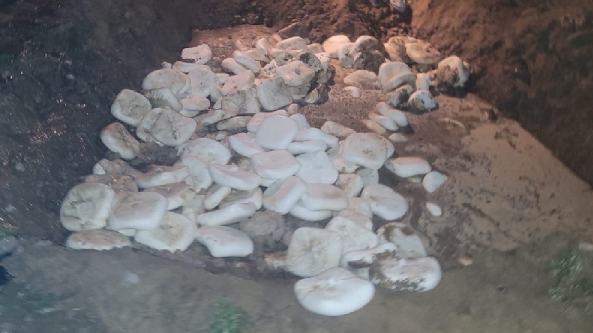 खाद्य सुरक्षा विभाग ने मिलावटखोरों के खिलाफ बड़ी कार्रवाई की (Photo: Mayank Gaur/ITG)