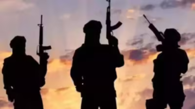 What is Tehrik-e-Taliban Pakistan  (TTP) — the Pakistan Taliban