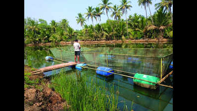 Women fish farmers pioneer sustainable river cage culture