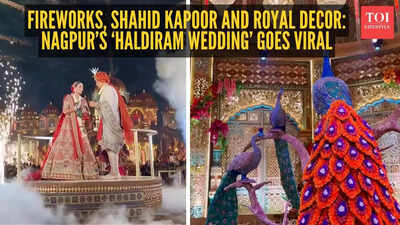 Fireworks, Shahid Kapoor and royal decor: Nagpur’s ‘Haldiram wedding’ goes viral