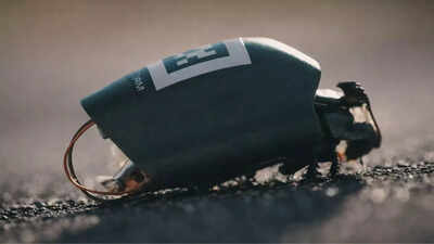 Insects made in labs to spy for Germany in a new warfare revolution