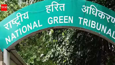 NGT issues notices over coal transport pollution in Odisha’s Talcher