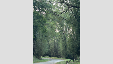 Tamil Nadu Forest Department Digitizes Boundary Maps for Enhanced Conservation and Land Dispute Resolution