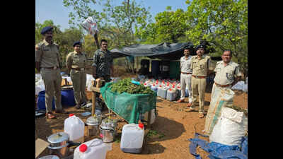 1,800 litres of hash oil, worth Rs 200 cr, seized from Koraput forests