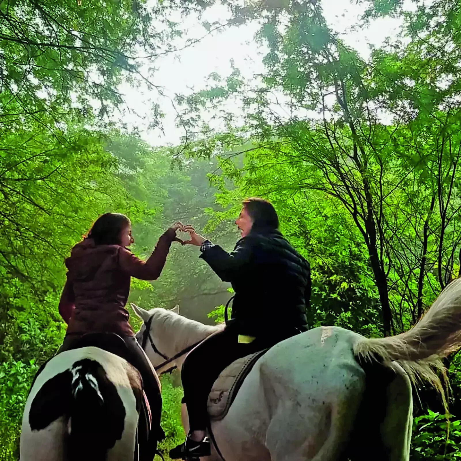 Swap city traffic for trail dust with a guided horseback ride with NCR’s horse riding clubs (Pic: @dukehorseridingclubgurgaon)