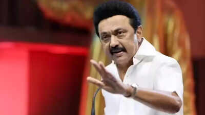 Attempts to distort Vallalar ideals won’t succeed: Tamil Nadu CM MK Stalin