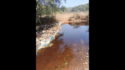 Shrishthal ryots protest rivulet pollution