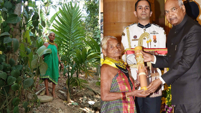“I had no money, only determination”: Tulsi Gowda’s journey from daily wage worker to Padma Shri awardee