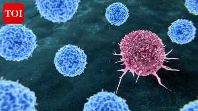 Declassified CIA file claims Soviet scientists once found 'cure' for cancer