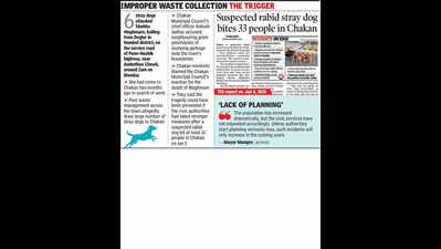 Chakan residents blame civic body for poor stray dog control