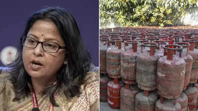 'Issue still worrisome': Govt offers extra 10% commercial LPG to states backing PNG transition push
