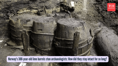 Norway's 300-year-old lime barrels stun archaeologists: How did they stay intact for so long?
