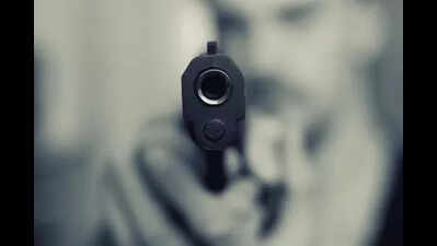 Two separate shooting incidents in Bihar's Nalanda district, stemming from land disputes, have left one man dead and another critically injured. An earthmover operator was fatally shot on Saturday evening, followed by an attack on a property dealer during his morning walk on Sunday. Police are investigating both incidents, with preliminary findings pointing towards land disputes as the motive. One killed, another injured in Nalanda over land disputes