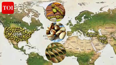 The $5 billion pistachio war: How US and Turkey are wiping Iran off the map