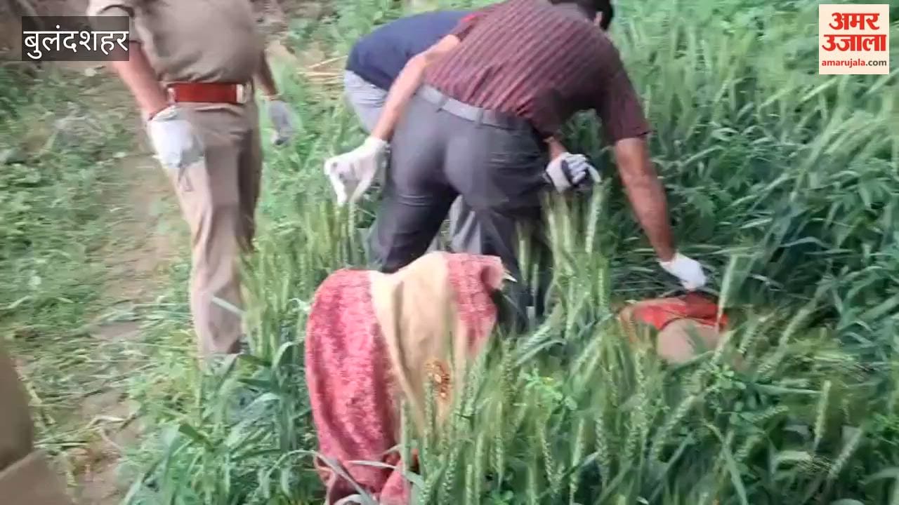 Woman Decapitated and Body Dumped in Field in Bulandshahr Severed Head Found 7 Hours Later