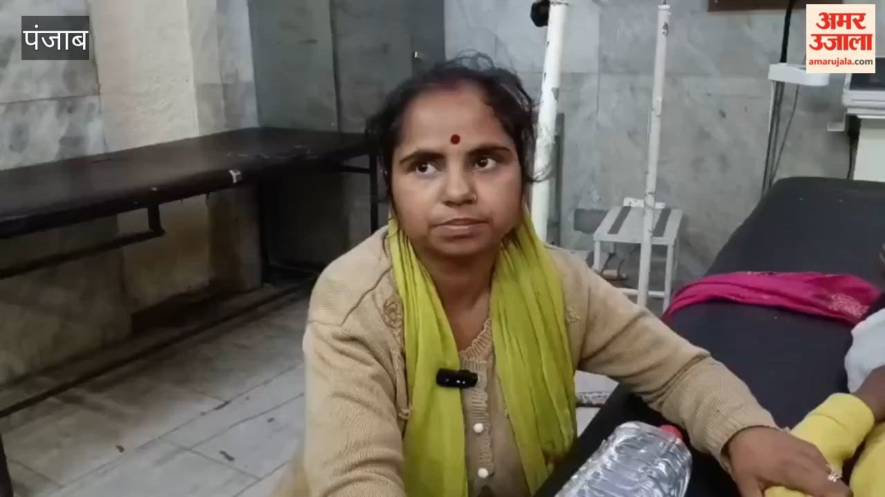 Stray Dog Mauls Child in Pathankot; Four Stitches Required on Face