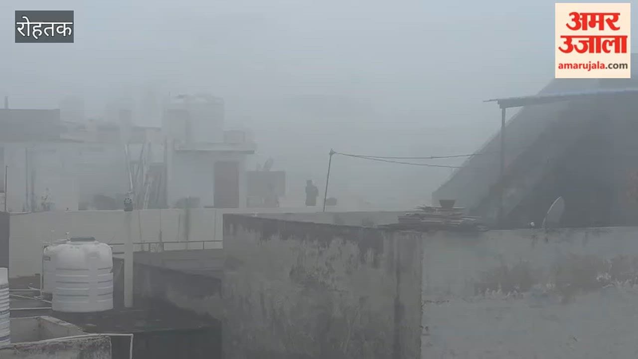 Fog blankets Rohtak in the morning; vehicles navigate with a visibility of 30 meters.