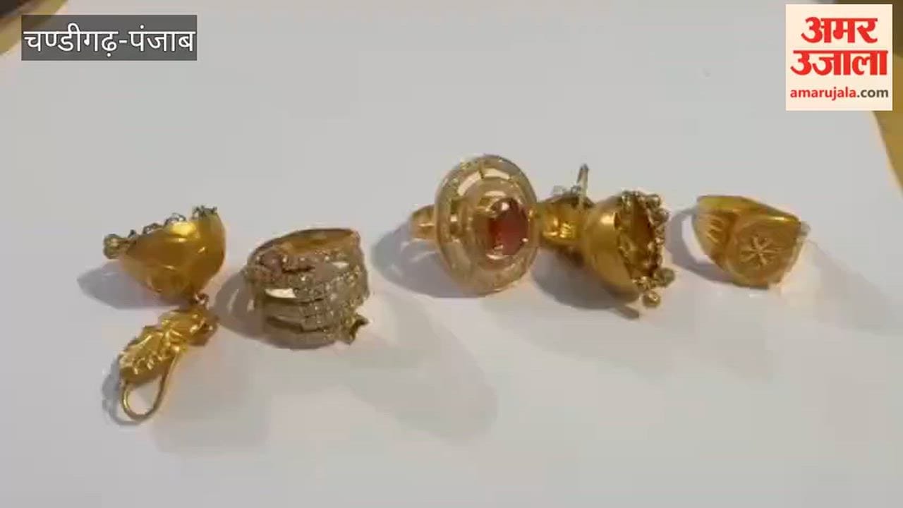 Ferozepur Cantonment Police Apprehend Thieves with Stolen Gold Jewelry