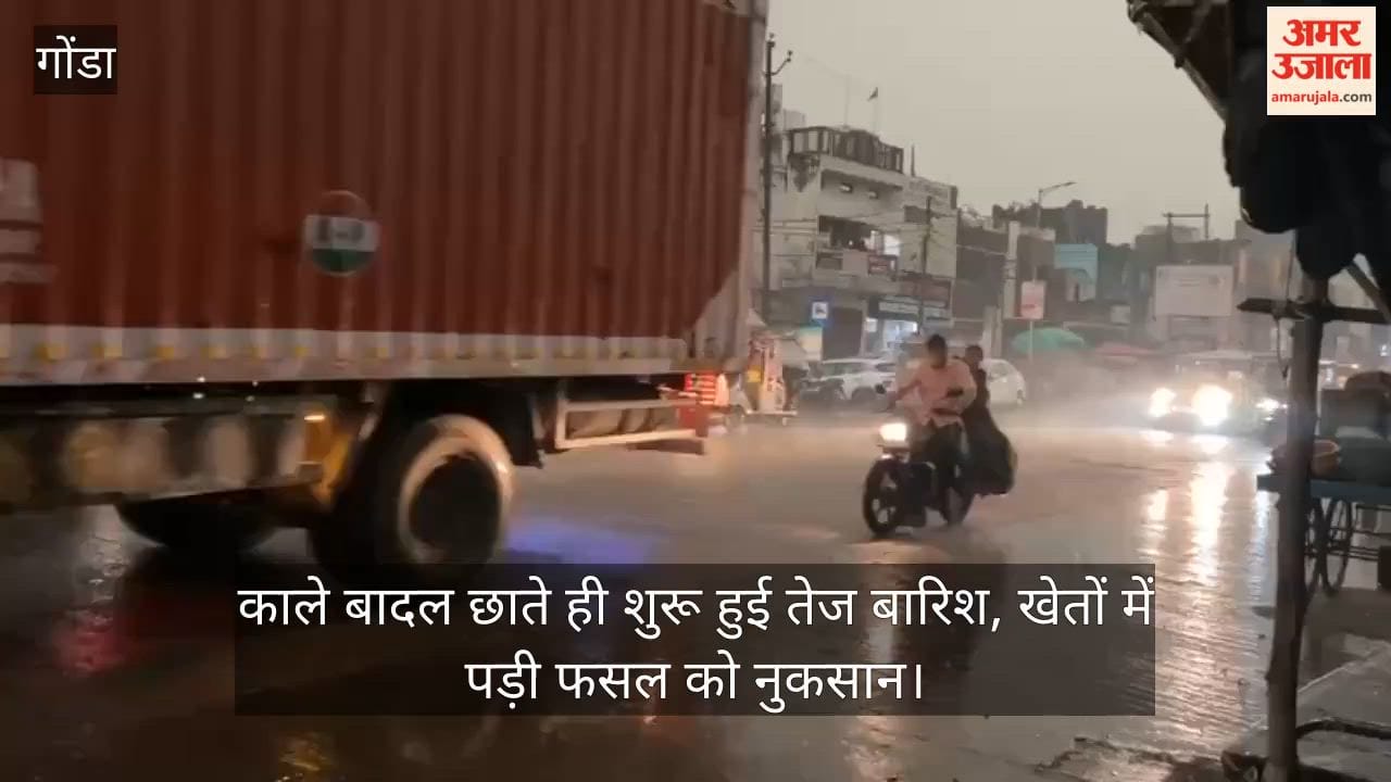 VIDEO: अचानक बारिश से दिन में छाया अंधेरा, भीगी सरसों की फसल से किसान परेशान