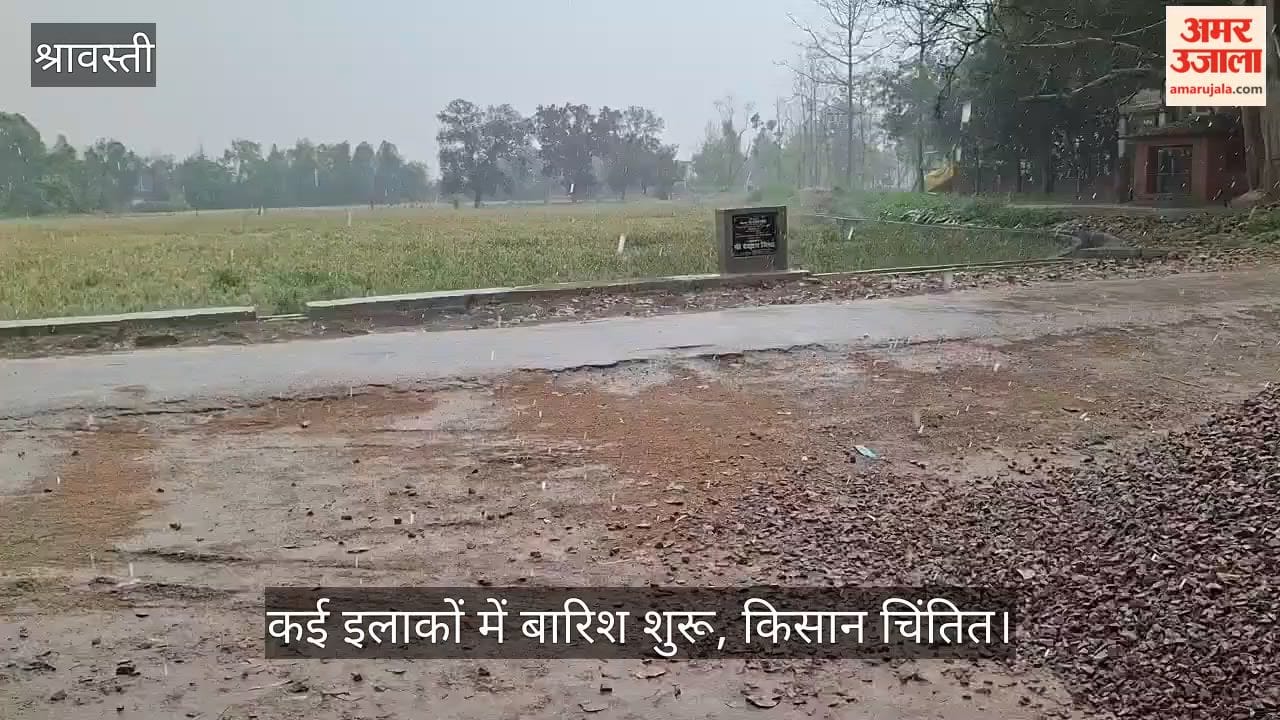 VIDEO: तराई के तेज हवा और गरज - चमक के साथ कई इलाकों में बारिश शुरू, किसान चिंतित