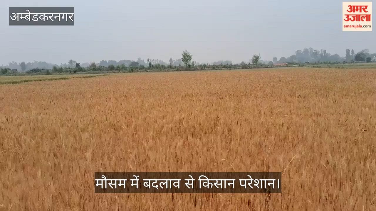 VIDEO: मौसम ने बदली करवट, आसमान में काले बादल