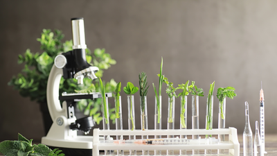 How Science, Testing, and Research Shape Modern Herbal Medicine: The rigorous path of R & D