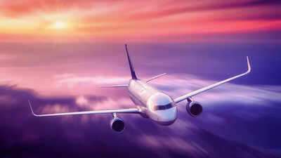 Air India group to operate 58 West Asia flights as IndiGo restores Middle East services