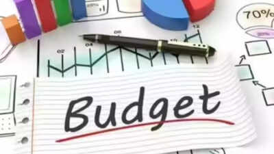 Budget basics simplified Budget basics simplified: TOI explains receipts, expenditure, deficits, borrowing, and parliamentary approvals for understanding of govt finances