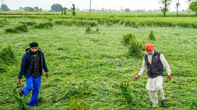 No farm, no fuss? Why NRIs still can’t buy agricultural land in India in 2025