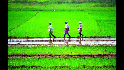 Community farms of 2L+ sqm to get 90% aid for crucial infra