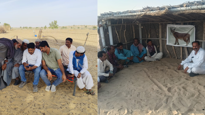 Caracal killing in Jaisalmer triggers awareness drive to protect endangered species