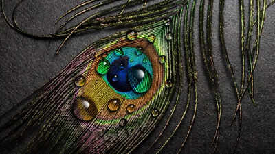 Significance and benefits of chanting 