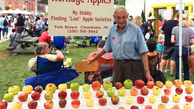 Meet Tom Brown: Retired engineer who rescued over 1,200 lost apple varieties in a 25-year mission