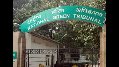 NGT notice to Odisha govt over illegal laterite mining and tree felling in Khurda