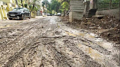 Pothole paradox: 1.2k plaints resolved, says MCG, portal tells different story