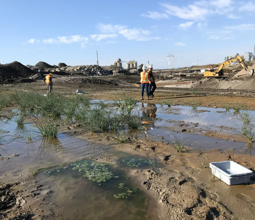 Photo via FACETS study