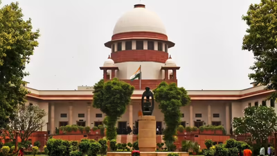. 'Except West Bengal': SC notes 'hardly any litigation' over SIR in other states