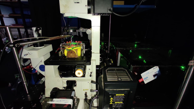 IISc team builds microbots that carry quantum sensors into living cells