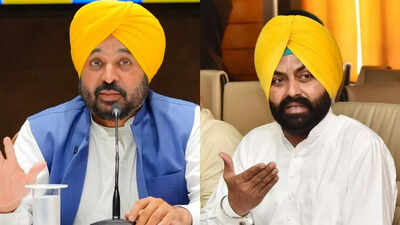 ‘Consumed poison out of fear’: District manager’s suicide rocks Punjab; minister resigns after being named in video