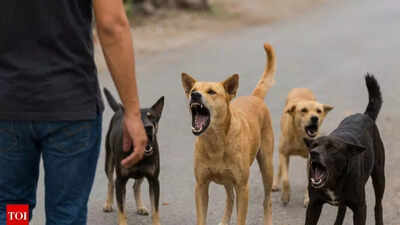 Woman returning from work mauled to death by pack of 6 stray dogs in Pune's Chakan