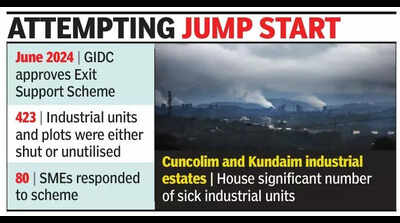 89% of MSMEs functional, 3,300 non-operational in Goa: Survey