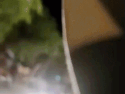 बाईक सवार युवती चिल्लाती रही, पीछे पड़े रहे मनचले वीडियो वायरल - Dainik Bhaskar