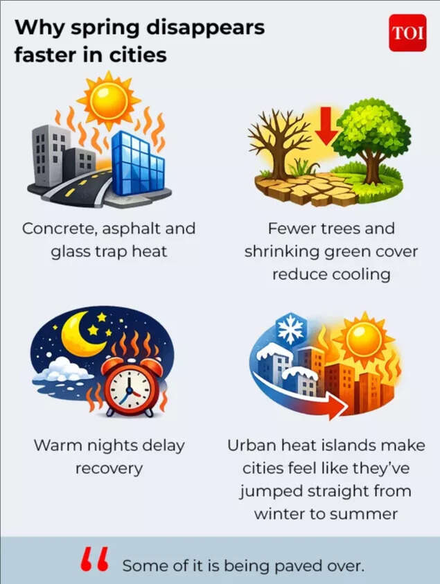 Why spring disappears faster in cities