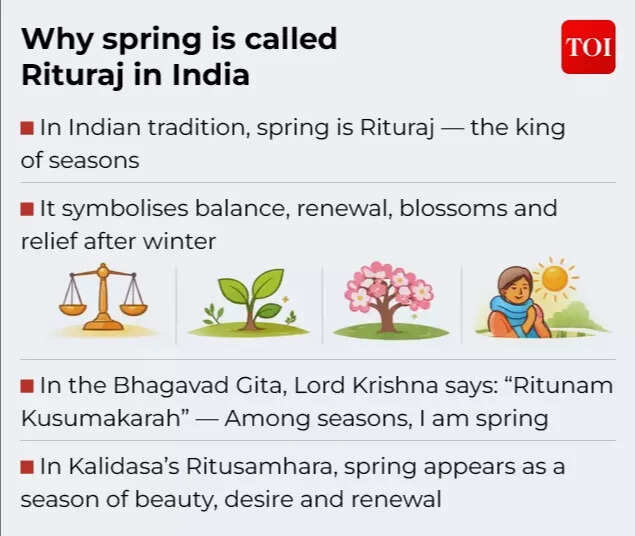 Why spring is called Rituraj in India