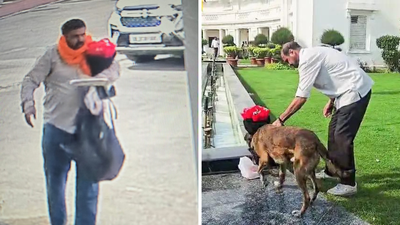 Major Security Breach At Delhi Assembly As Car Rams Gate, Driver And Two Others Arrested