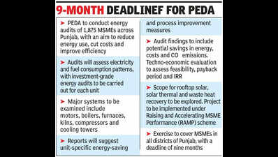 Energy audits: Punjab to help 1,875 MSMEs cut costs, power